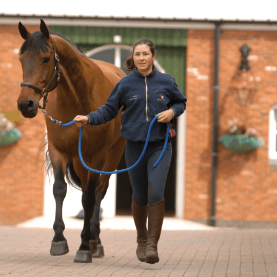Horse being trotted up to spot signs of arthritis