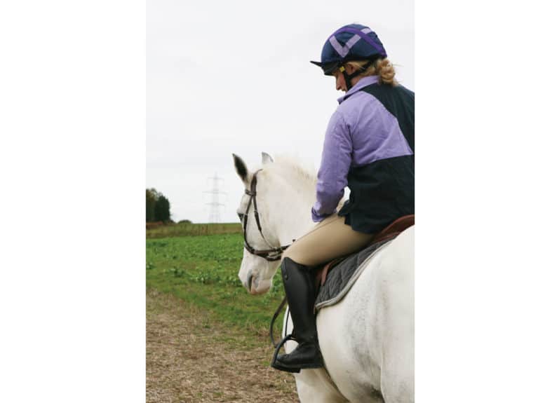 Gear Guide Equestrian Product Reviews And Releases Horse And Rider