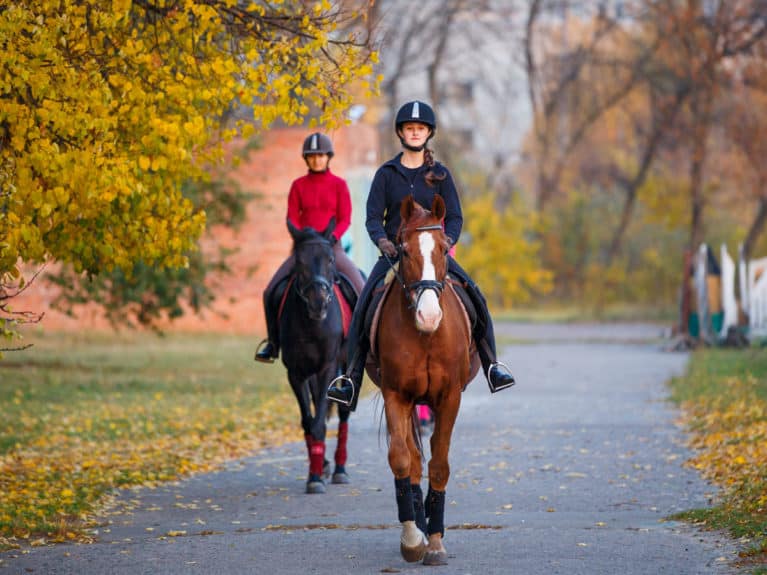 Horse and riders hacking in Autumn