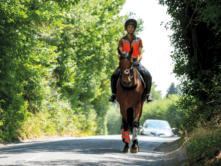 horse and rider hacking