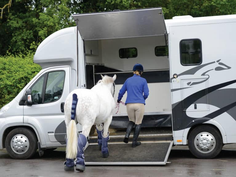Horse being loaded into a 3.5t horse box