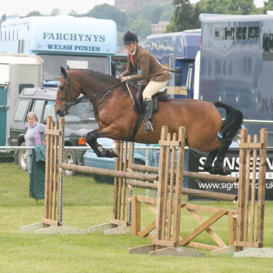 Competing in a working hunter class