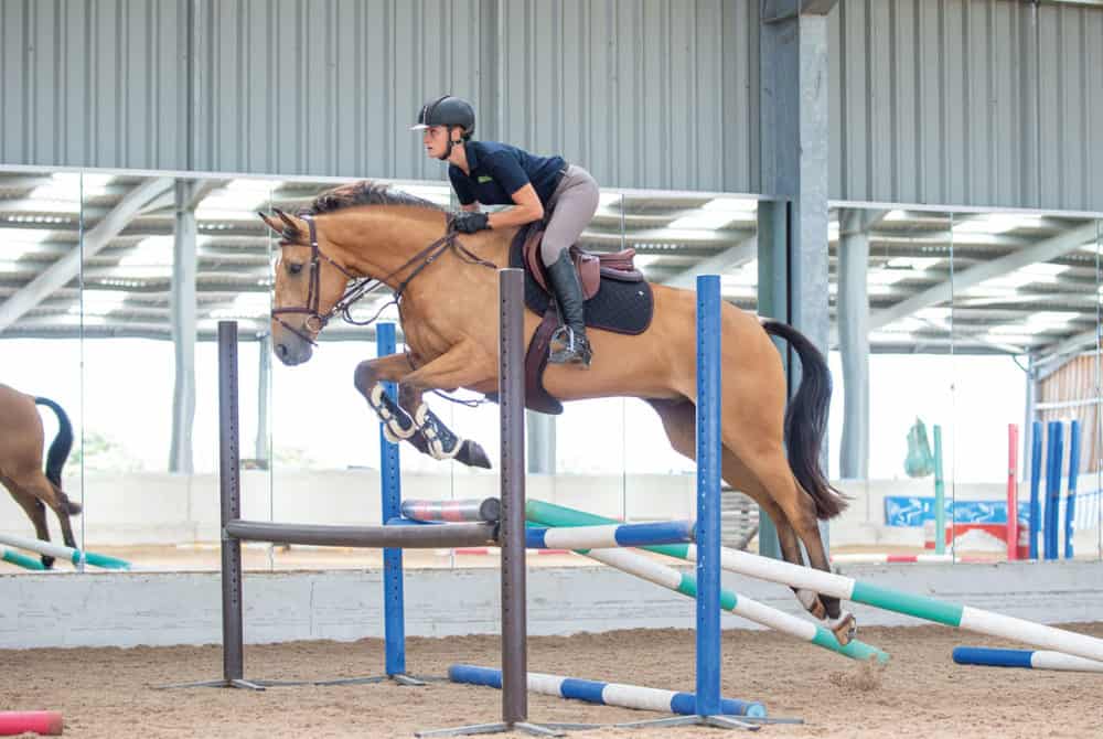 Emily King jumping an Oxer as part of a grid