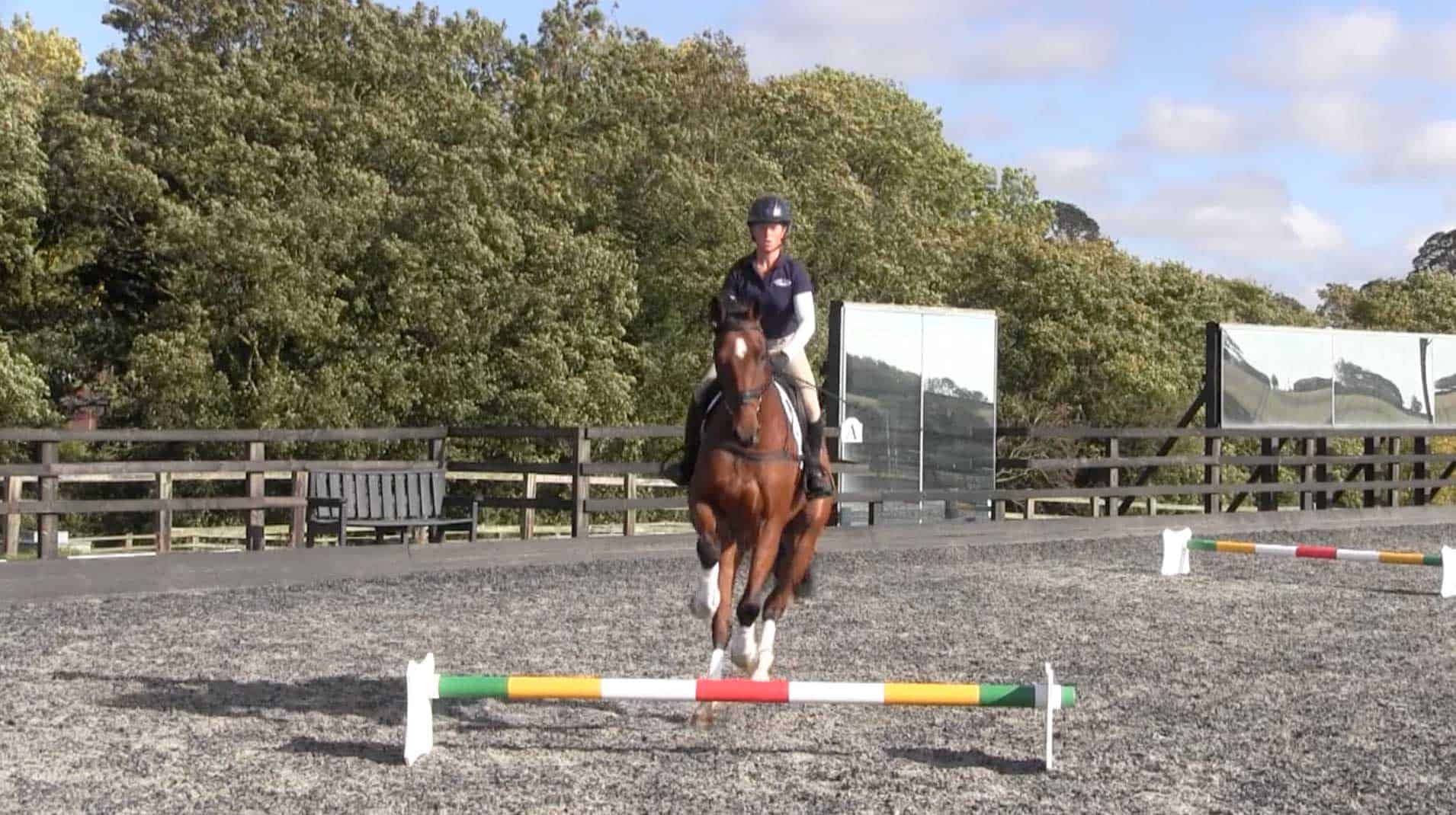 Ros Canter – Horses for courses | Stride guide | Horse and Rider