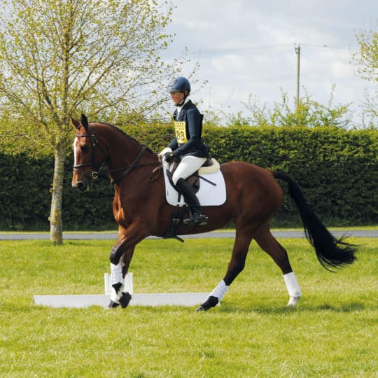 Rider at a competition