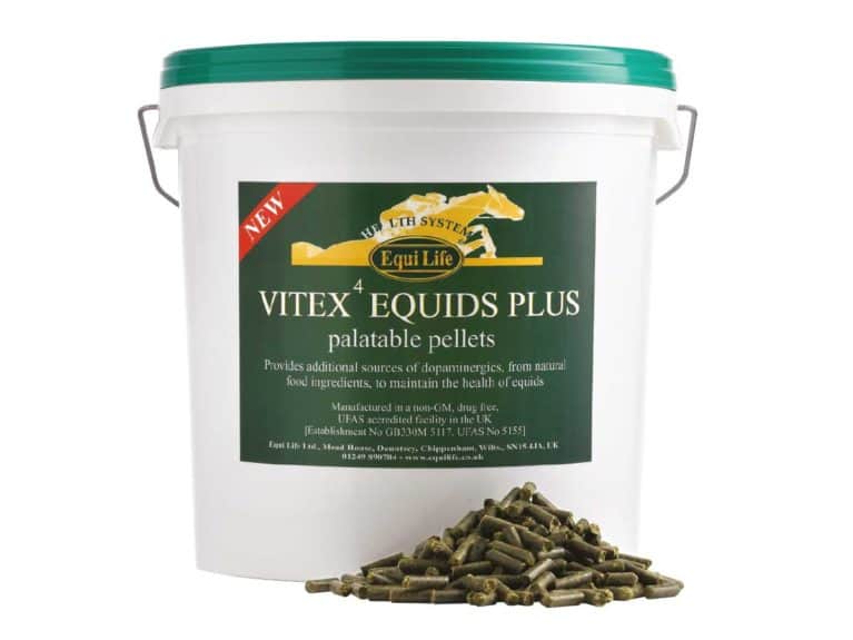 Vitex4 Equids Plus horse supplement from Euilife