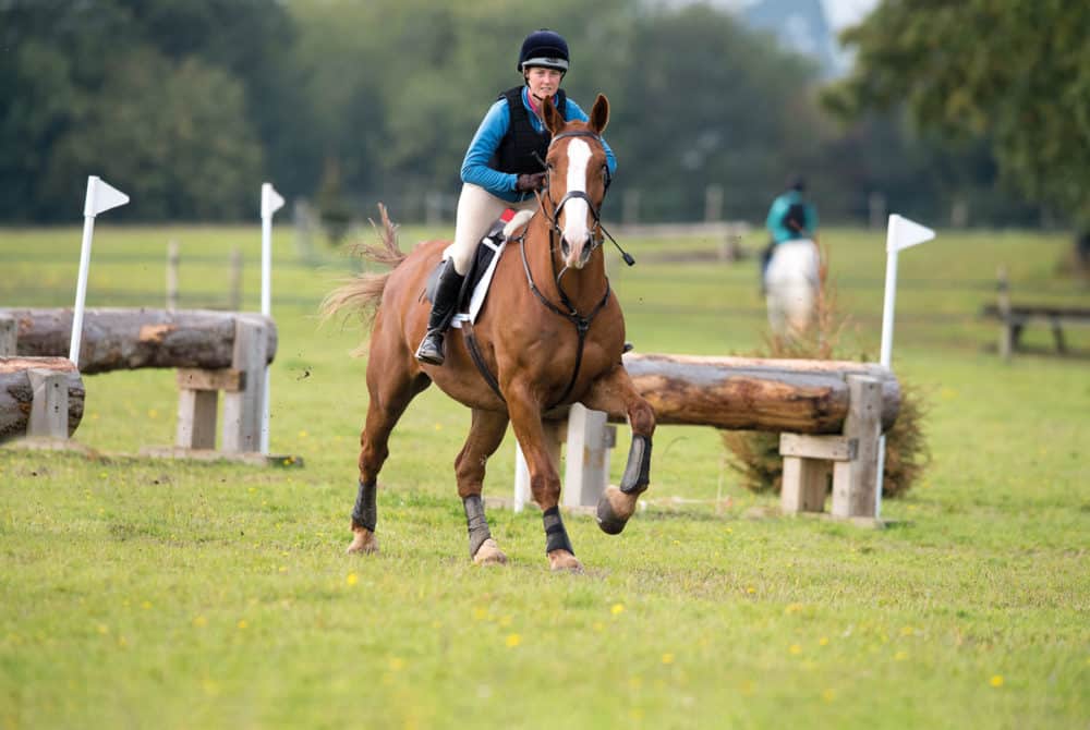 Horse and Rider on cross-country course