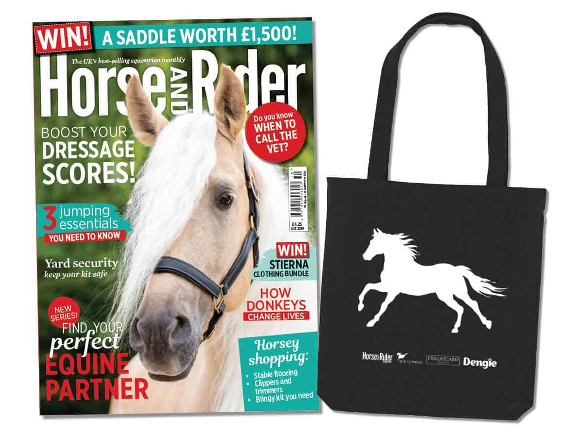 Pack Mule: Equestrian Bags | The Hunt