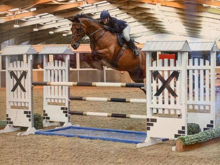 Vicky Mitson, Commercial Director for Science Supplements, qualifies for HOYS