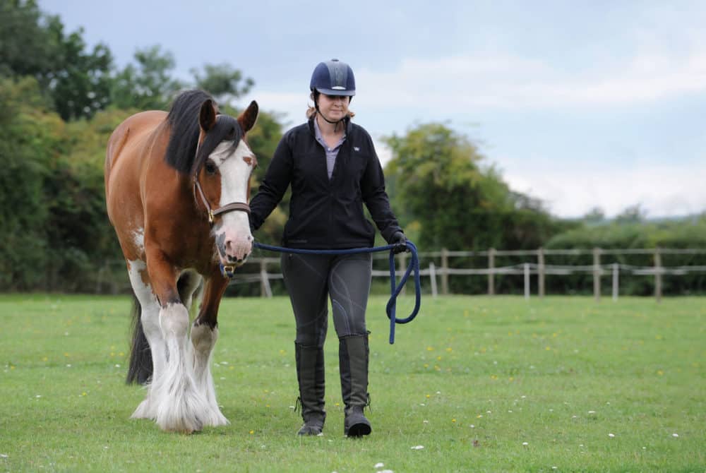 Ground handling with your horse