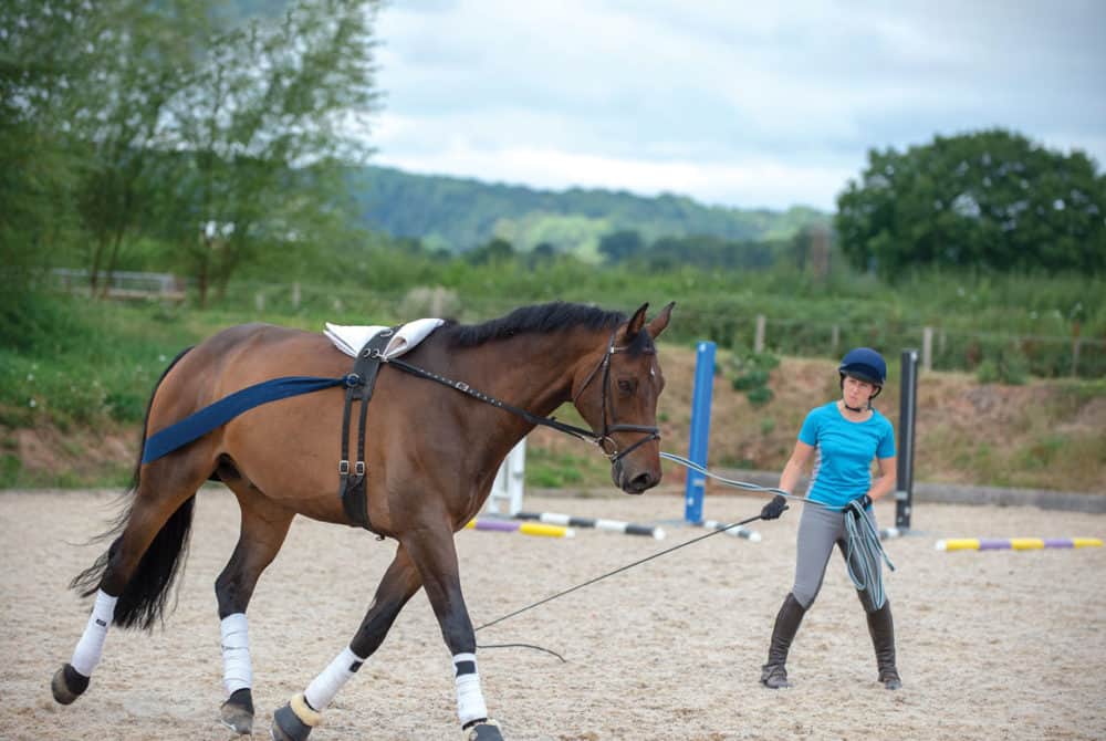 Lungeing your horse effectively