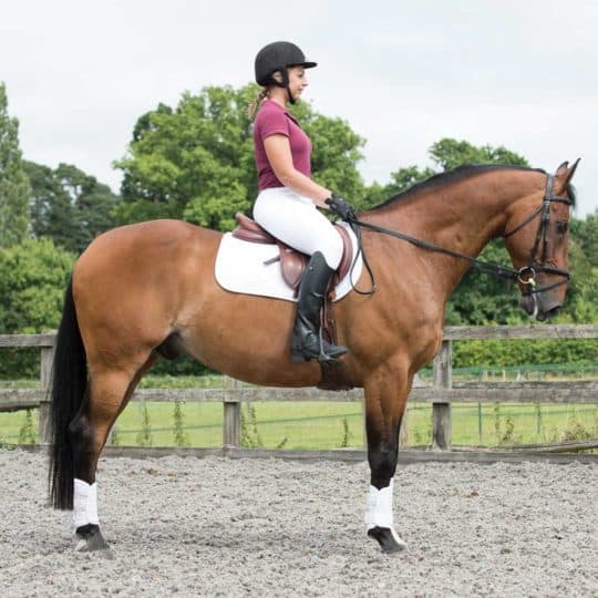 Pilates for horse riders, creating a better seat