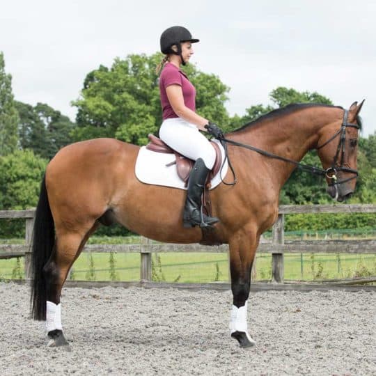 Pilates for horse riders, creating a better seat