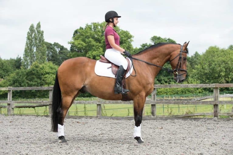 Pilates for horse riders, creating a better seat