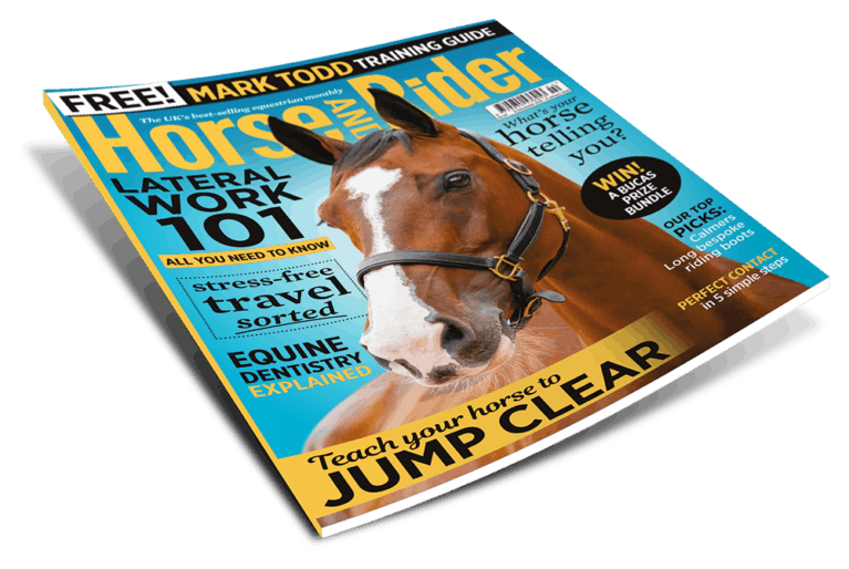 Horse&Rider magazine, February issue