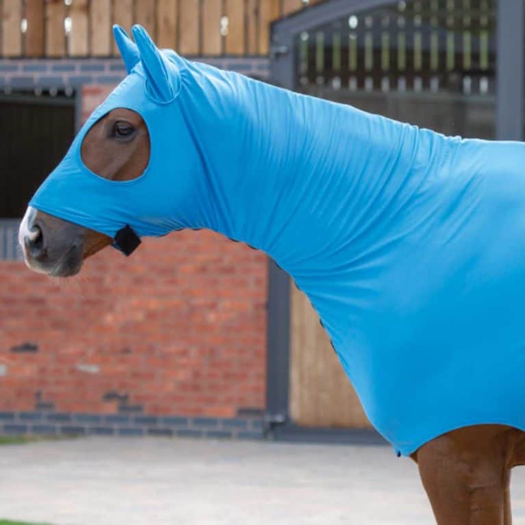 Shires stretch hood with full face