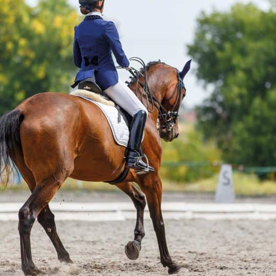Girl competing in dressage competition