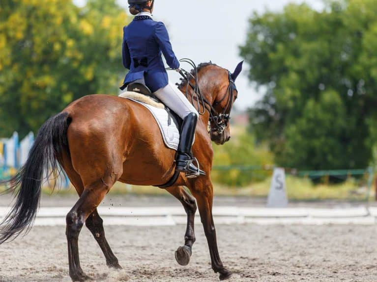 Girl competing in dressage competition