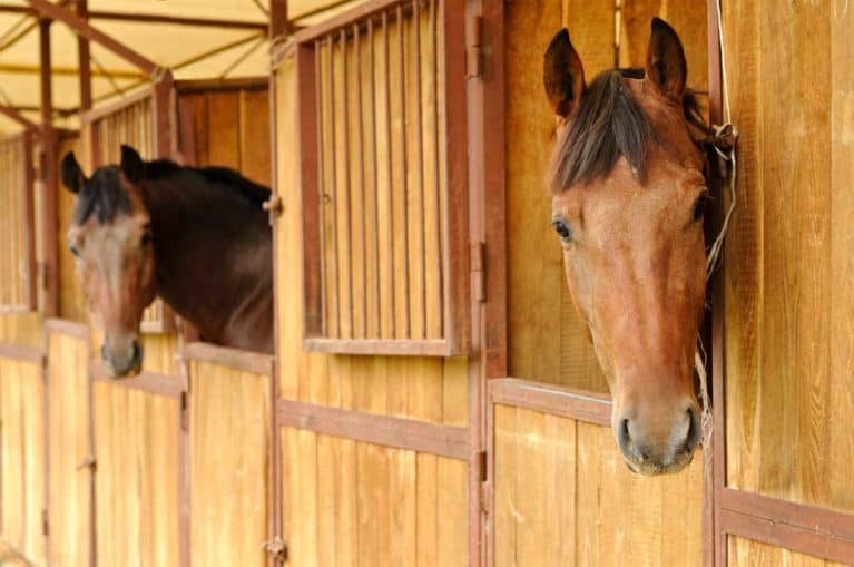 Biosecurity disinfectant cleaning