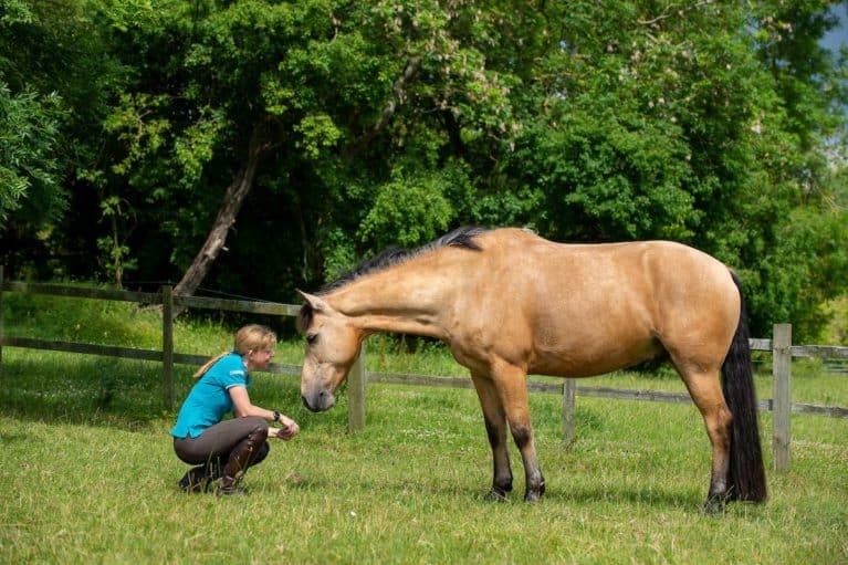 The latest coronavirus update for equestrians 