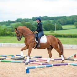Horse and Rider polework