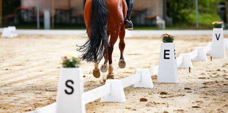 Dressage arena with horse
