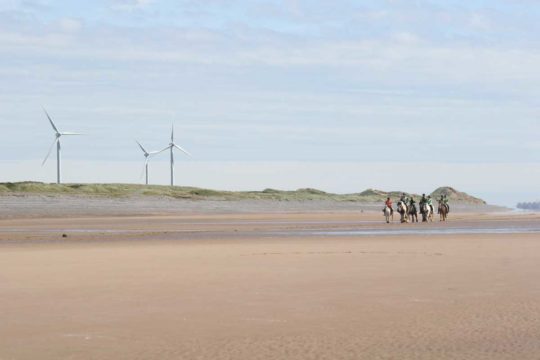 Group of horse riders on the beach