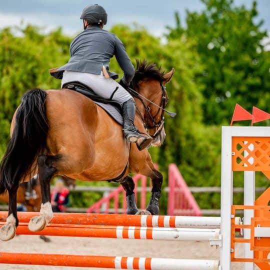 Rider competing in showjumping