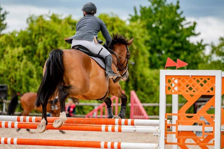 Rider competing in showjumping