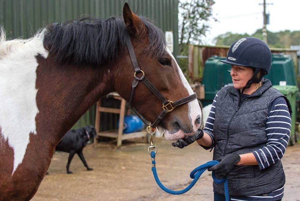 Coping in an equine emergency