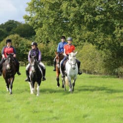 Group of riders hacking