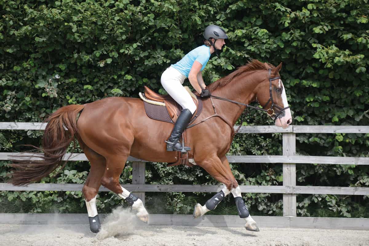 Rider in a light seat to improve jumping position