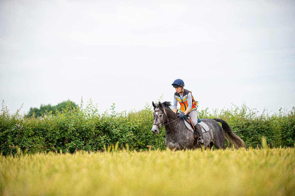 Why do we Measure Horses in Hands? - Top Flight Equestrian