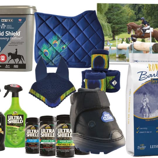 Equestrian prize giveaway