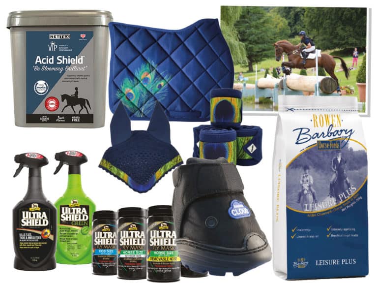 Equestrian prize giveaway
