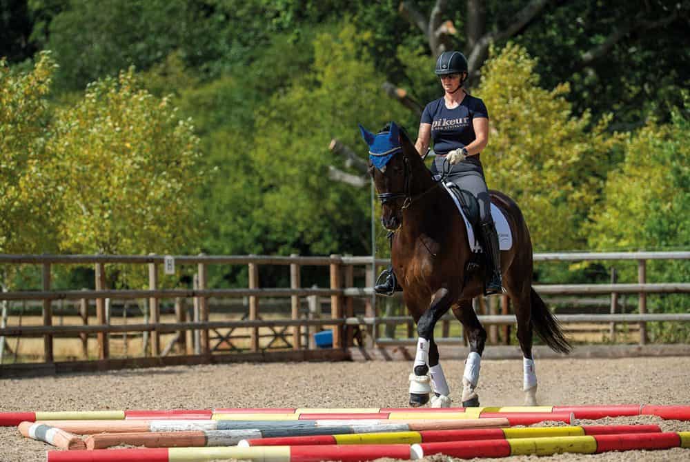 Soft training pole **** Brand new to the UK *** Show Jumping Poles 