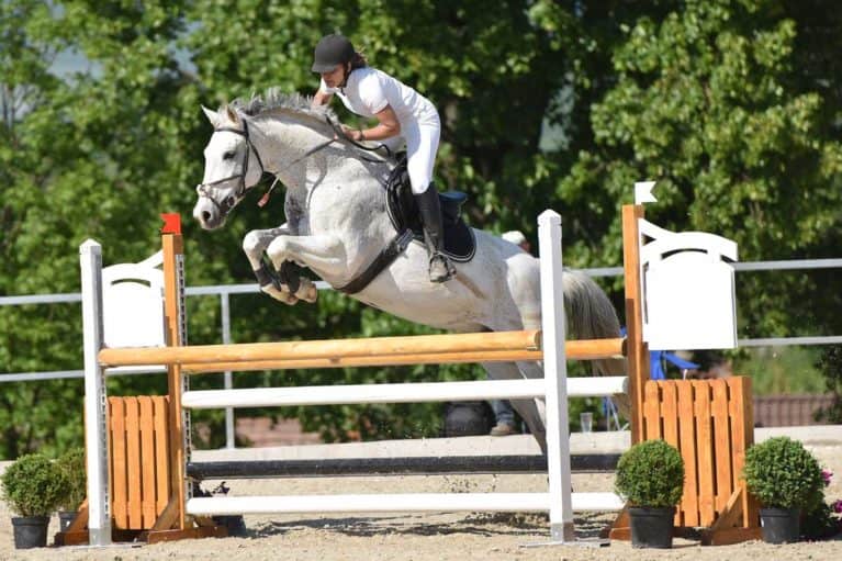 horse and rider showjumping