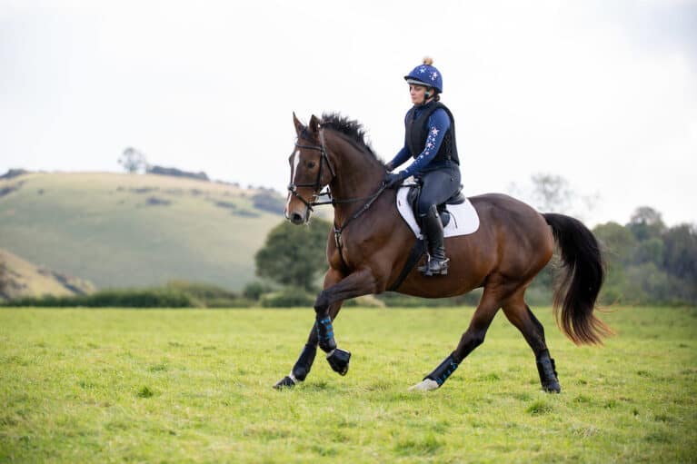 Horse galloping fitness work