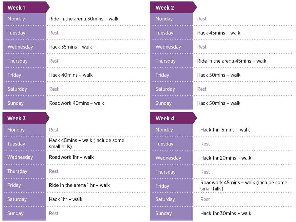 Horse fitness plans weeks 1-4