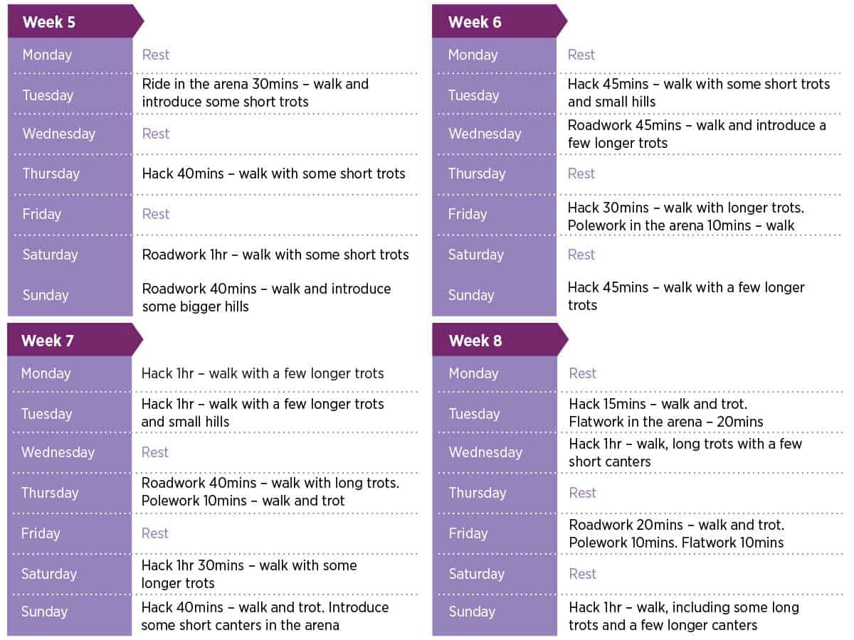 Horse fitness plans weeks 5-8