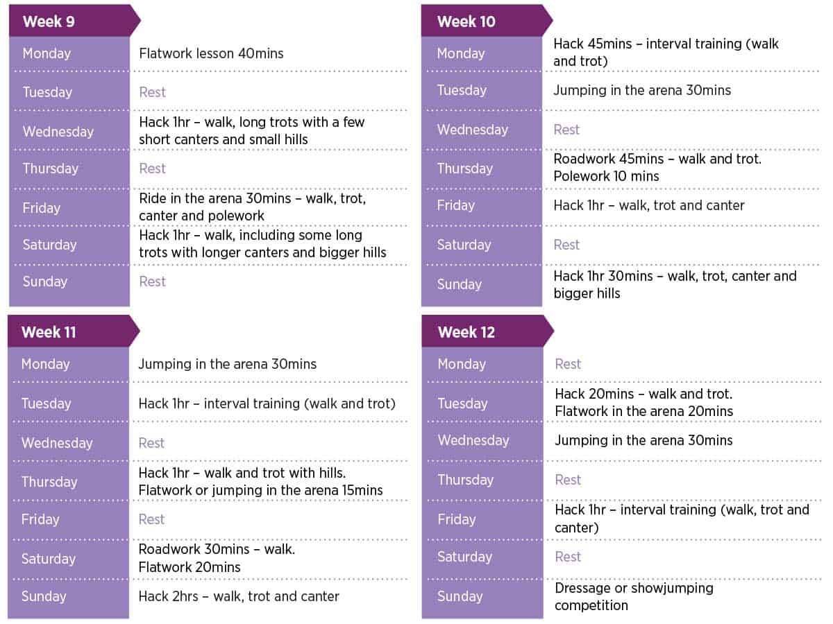 Horse fitness plans weeks 9-12