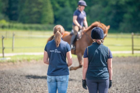 Perfect partners - meeting your perfect horse match