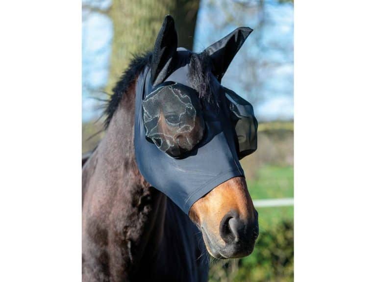 Busse Twin Fit fly mask