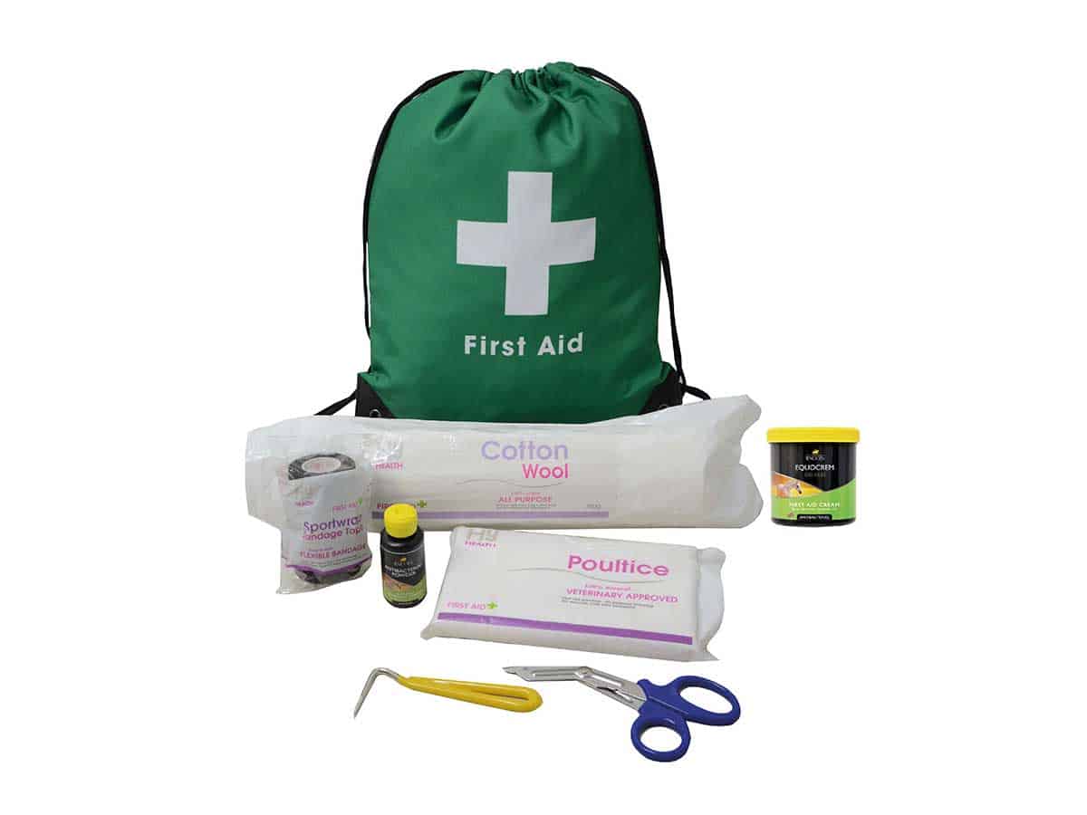 Lincoln First Aid travel bag