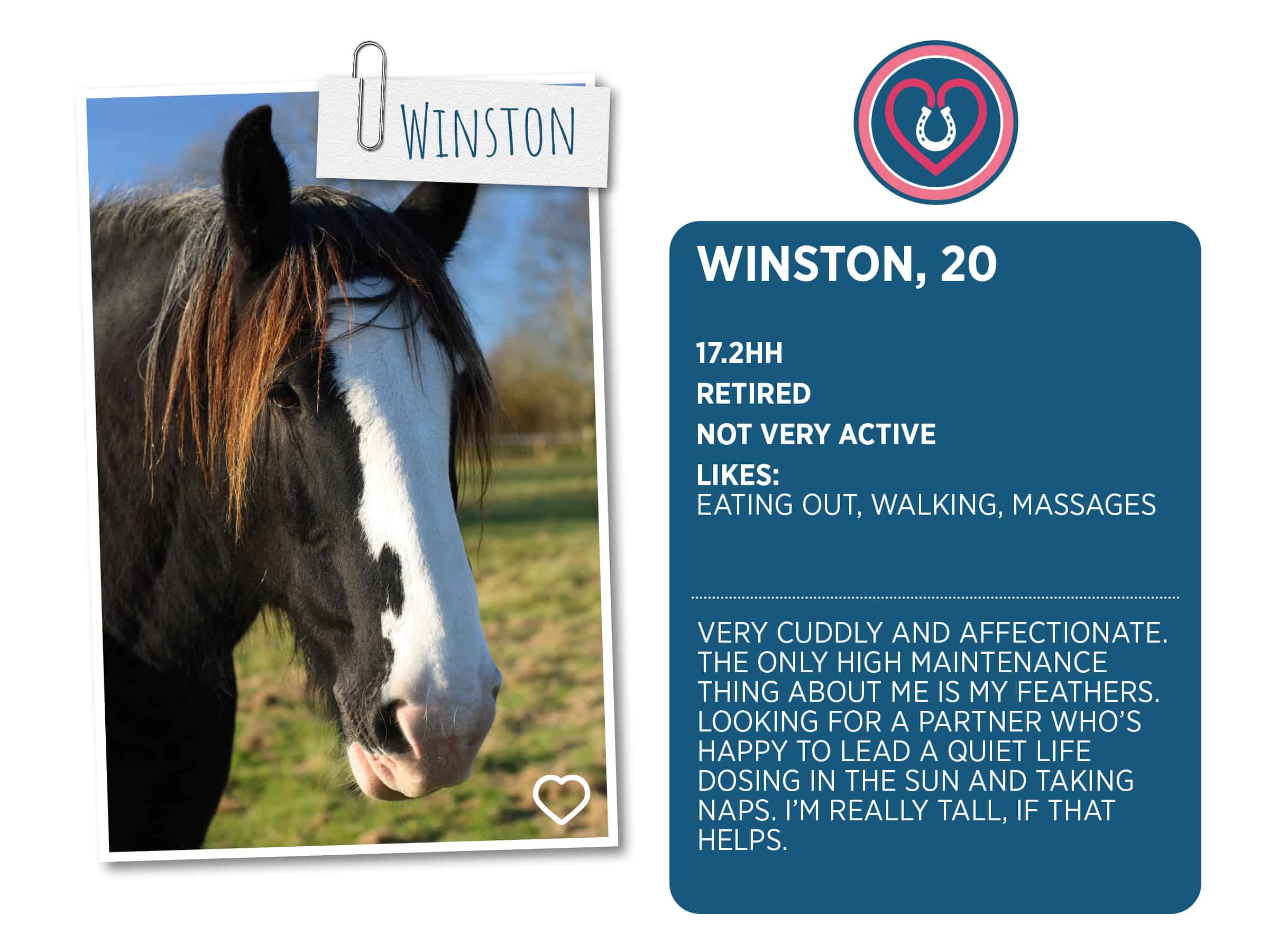 Lonely loves club, Winston profile