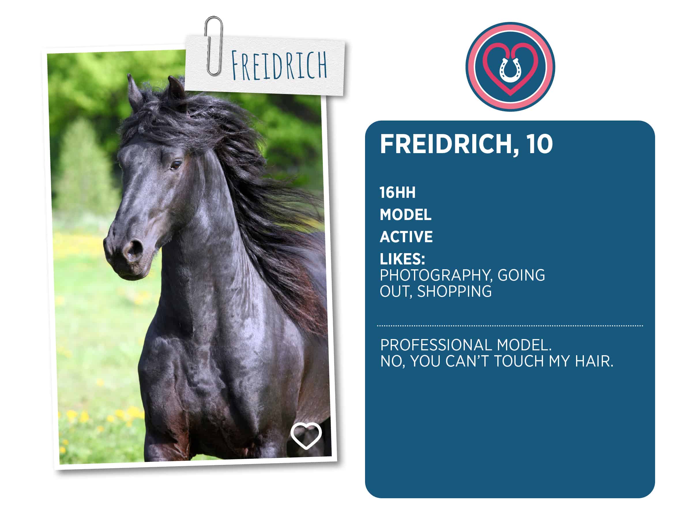 Lonely loves club, Freidrich profile