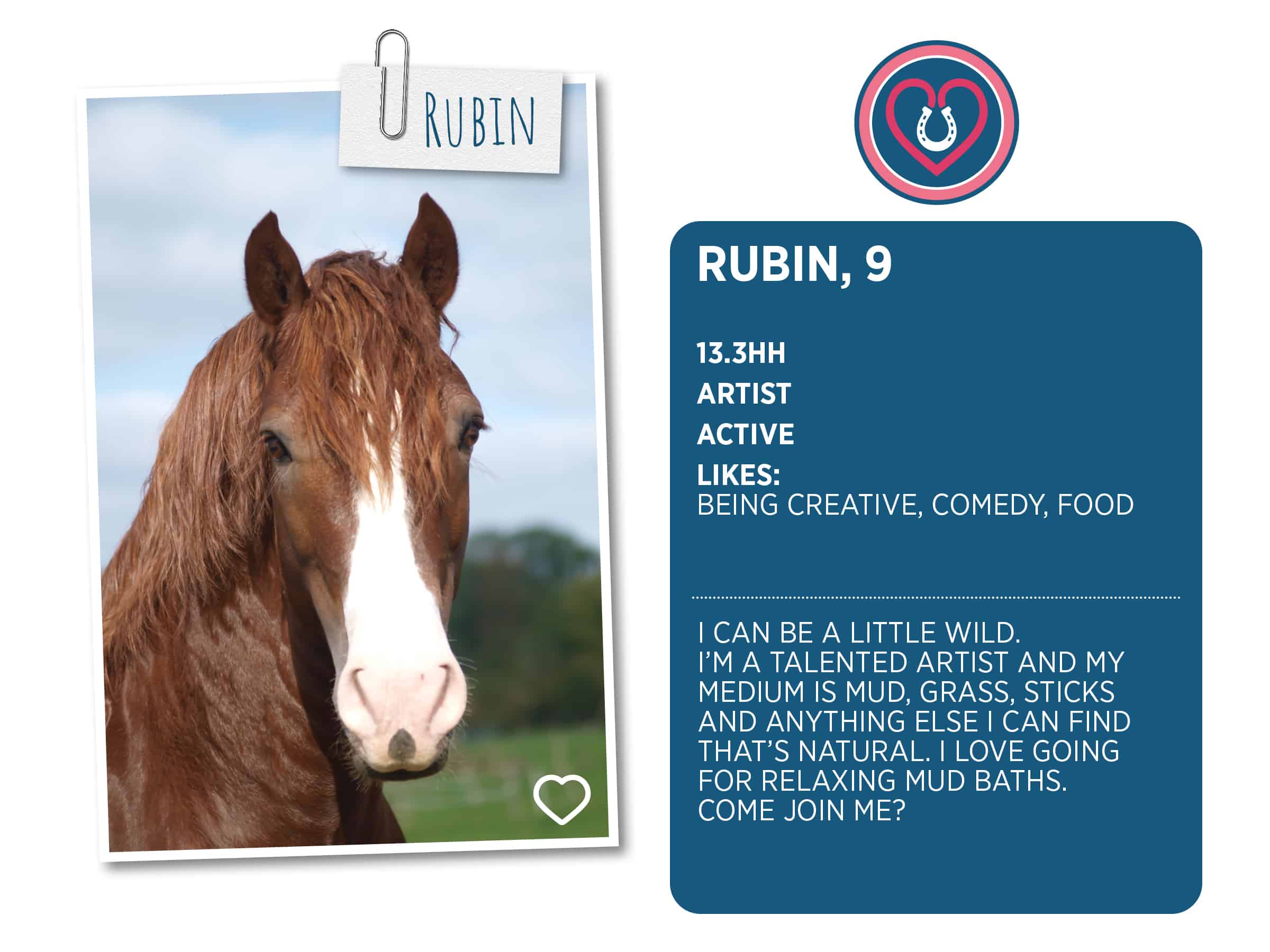 Lonely loves club, Rubin profile