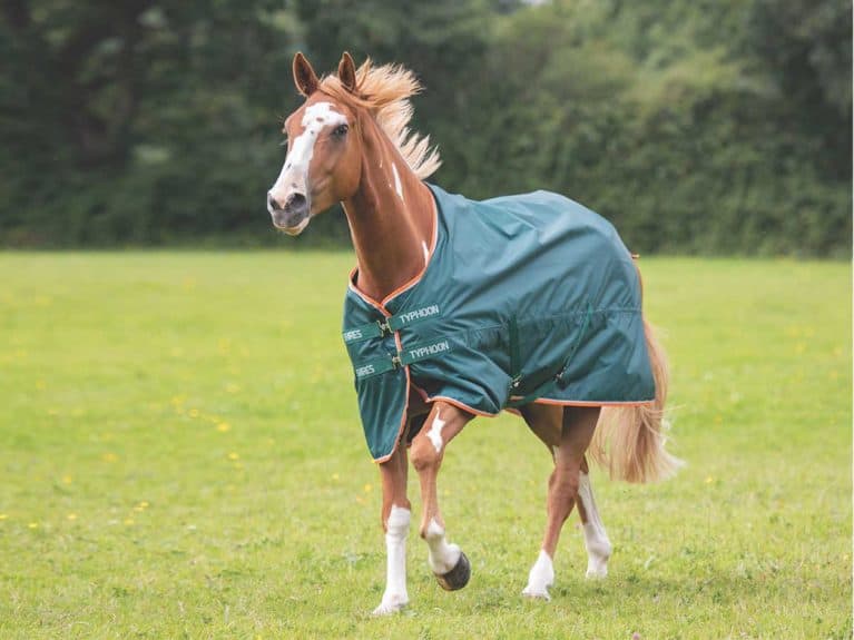 Shires Typhoon lite turnout rug