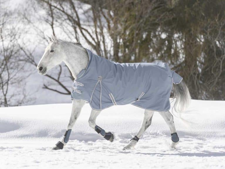 Kramer Thermo Master Jesco II turnout rug