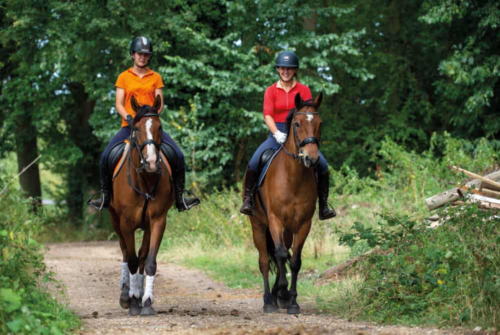 Fun rides | Horse and Rider